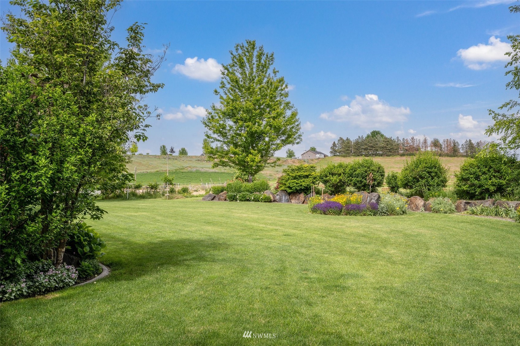 273 Galloway Road Touchet, WA 99360 - Photo 33 of 39 a view of a big yard with plants and large trees