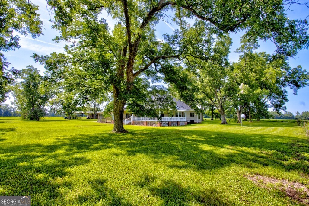 1034 Cecil Tyre Road Bristol, GA 31518 - Photo 36 of 63