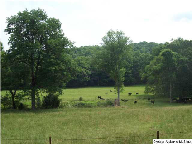 2788 Cox Cove Road Hayden, AL 35079 - Photo 10 of 32