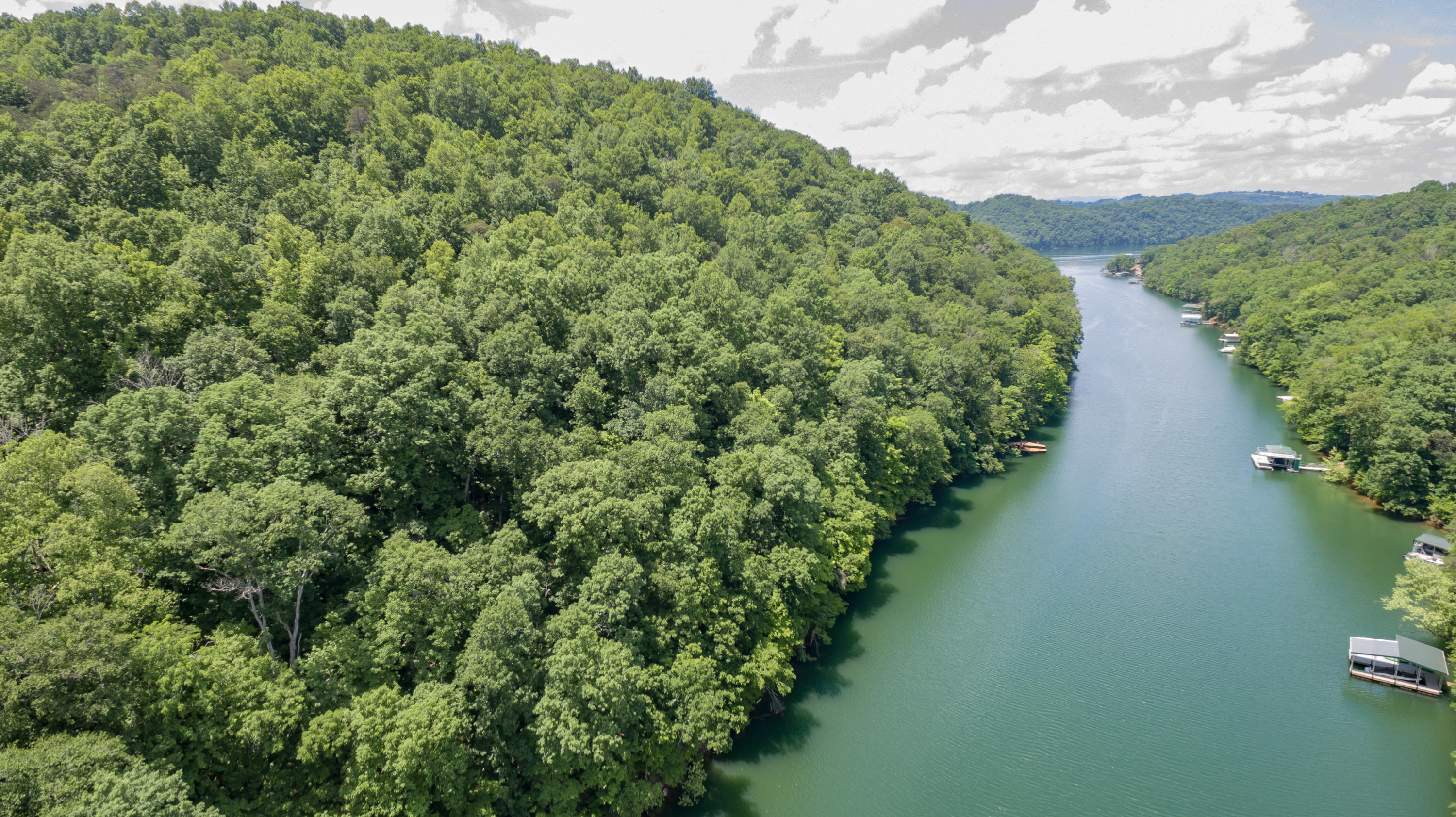 38-10 Jessee Road Maynardville, TN 37807 - Photo 1 of 13 Drone Scenic 7