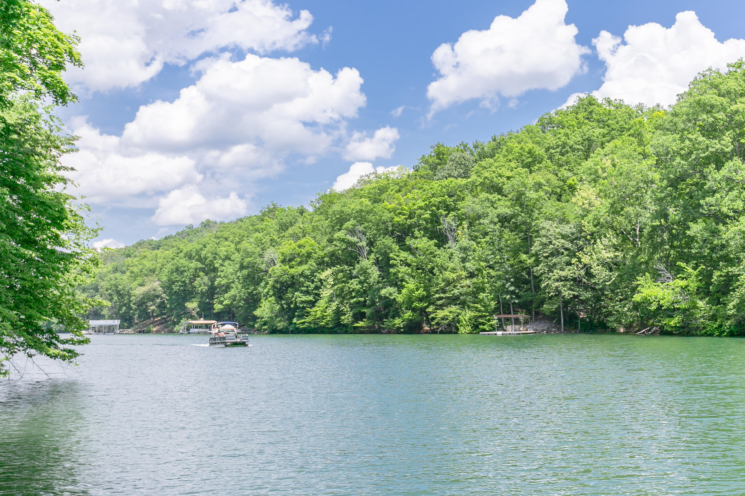 38-10 Jessee Road Maynardville, TN 37807 - Photo 5 of 13 Ground Scenic 1