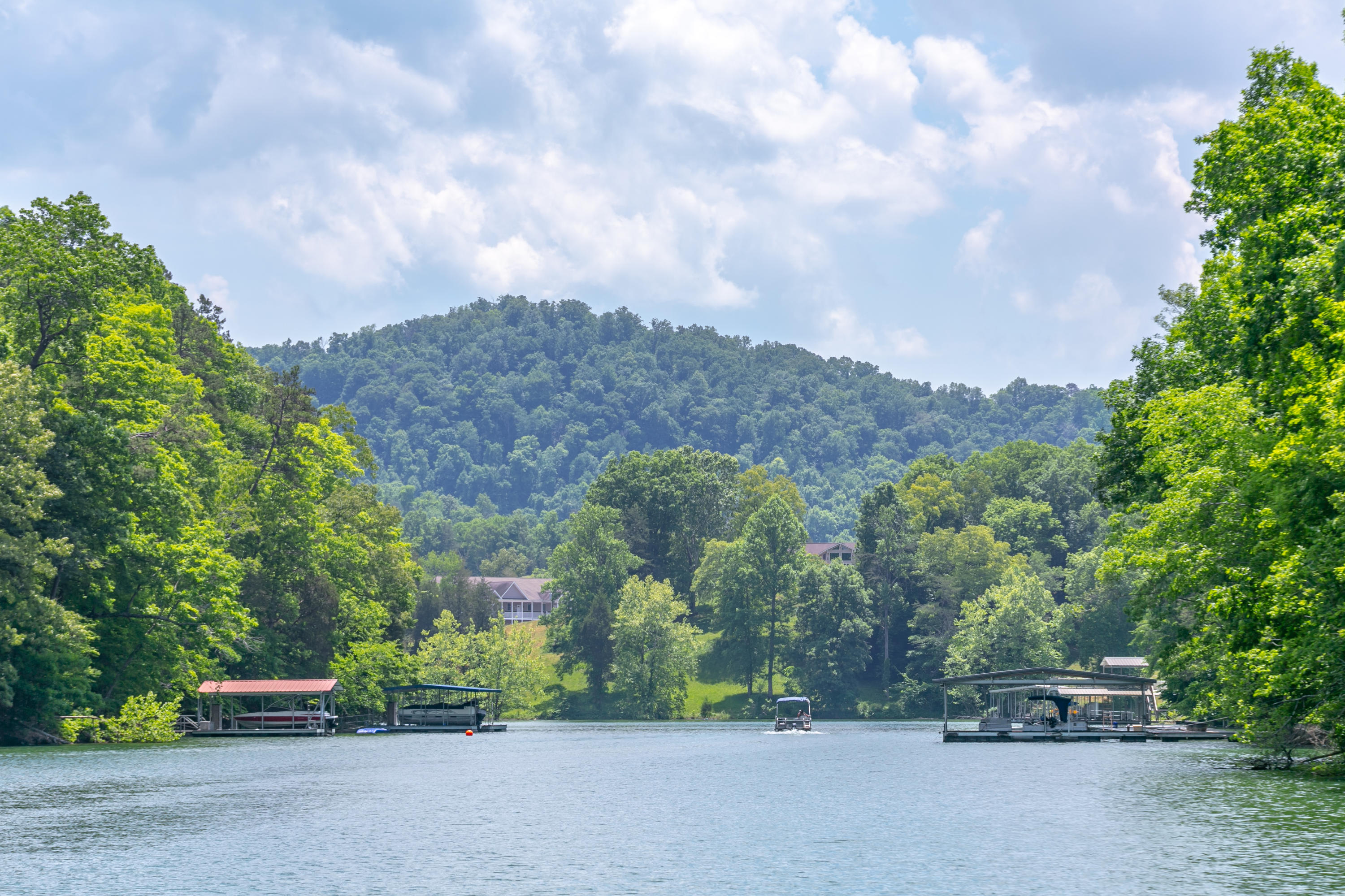 38-10 Jessee Road Maynardville, TN 37807 - Photo 6 of 13 Ground Scenic 4