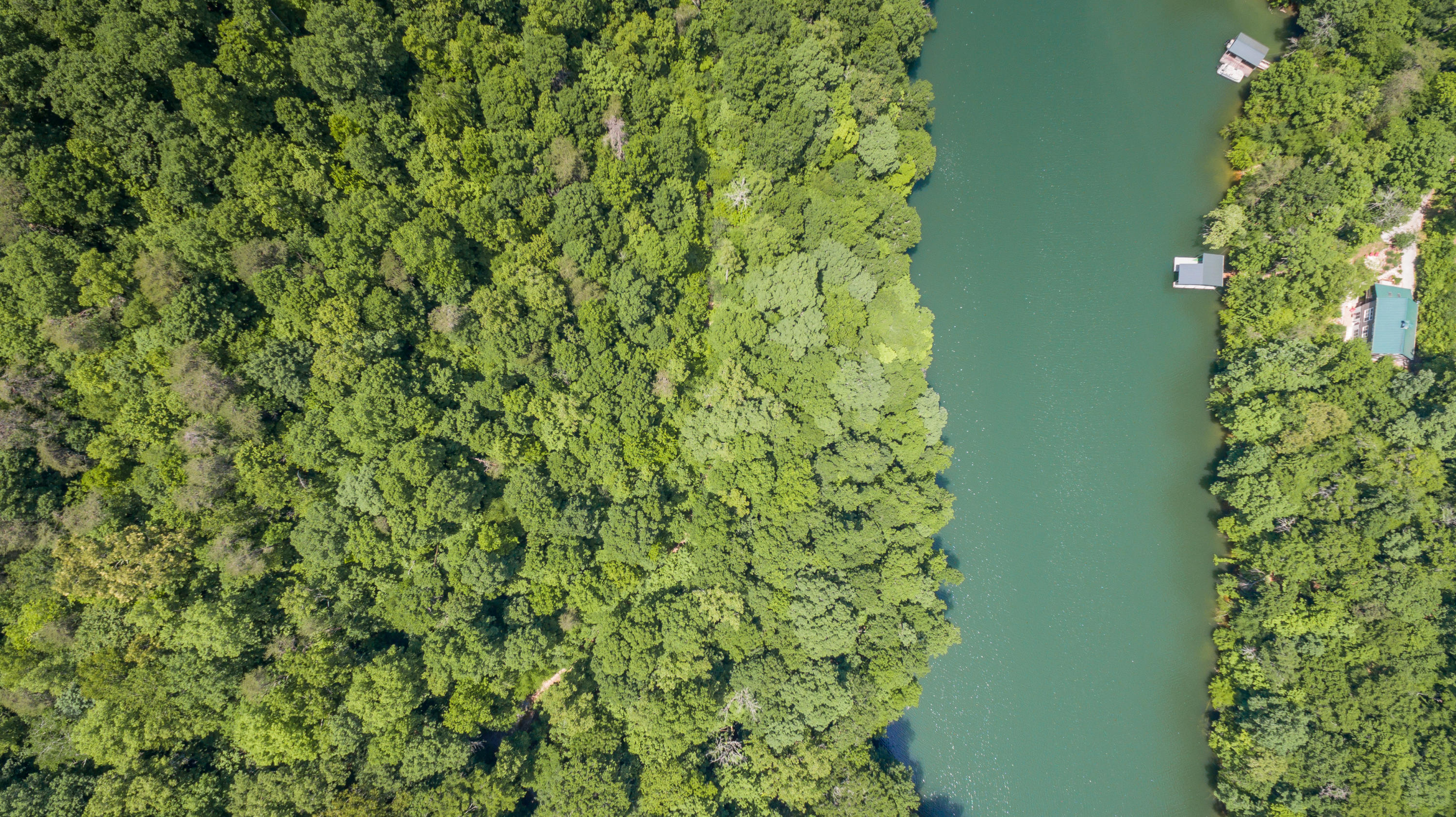 38-10 Jessee Road Maynardville, TN 37807 - Photo 8 of 13 Drone Scenic 5