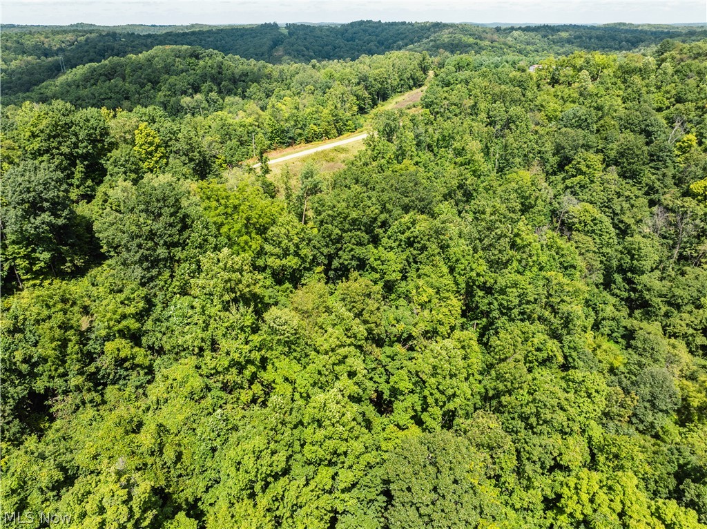 Taylor Road Dennison, OH 44621 - Photo 20 of 48 Gallery Image 20