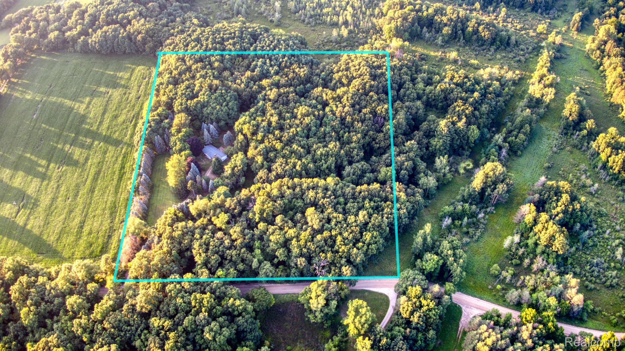 1233 East Schafer Road Howell, MI 48843 - Photo 9 of 43 12 acres abuts 3,000 acres of state land