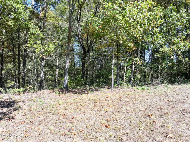 $215,000 | 745 Sinking Springs Road, Midway, TN 37809