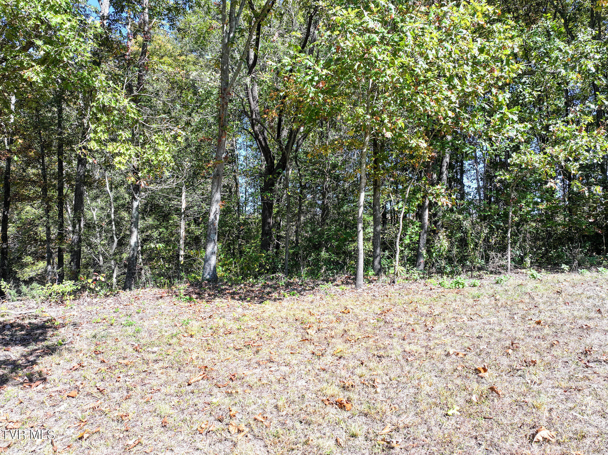 745 Sinking Springs Road Midway, TN 37809 - Photo 21 of 47 DJI_20251012153712_0618_D
