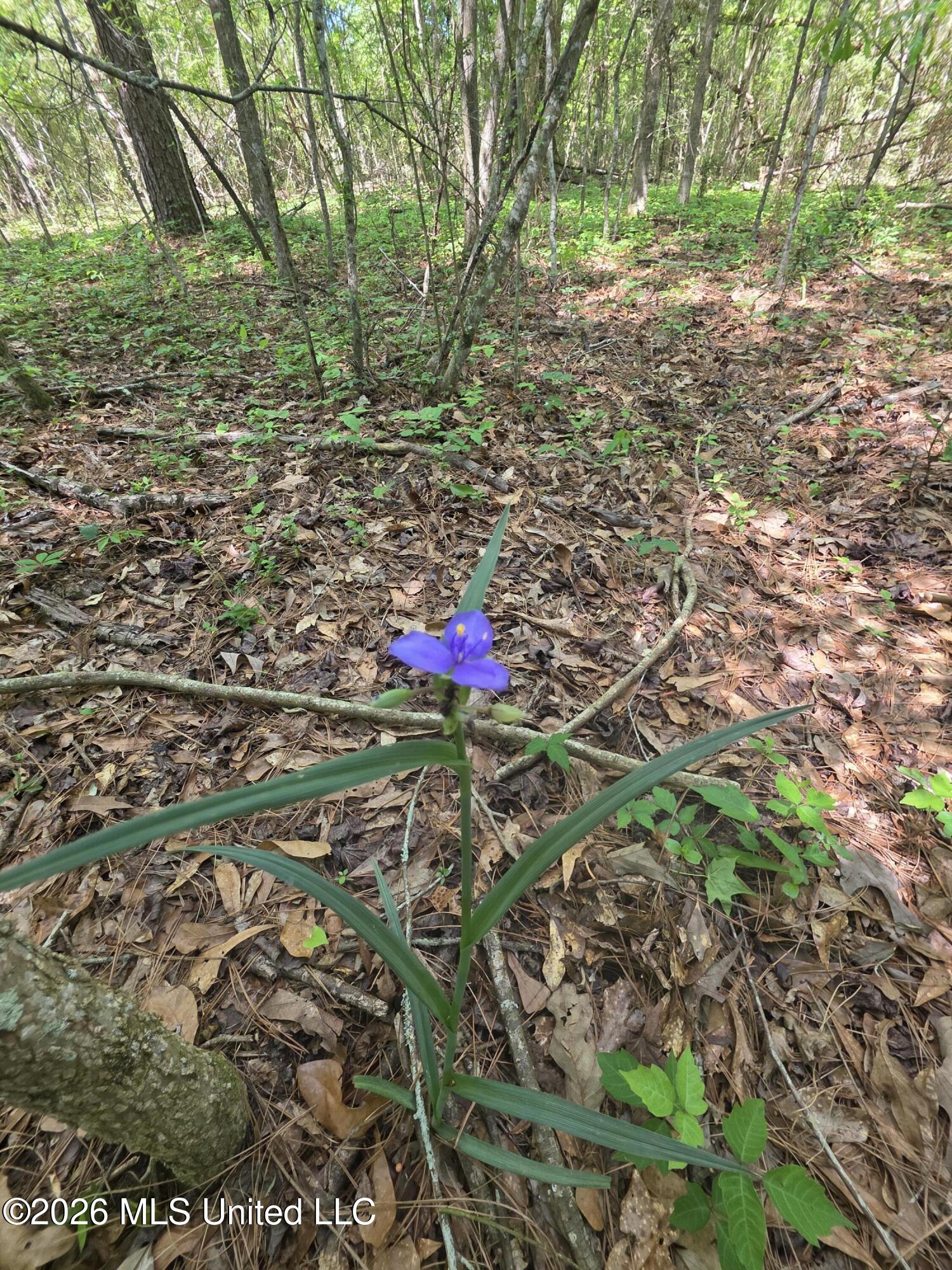 1004 Zone Road Magnolia, MS 39652 - Photo 14 of 22 30614