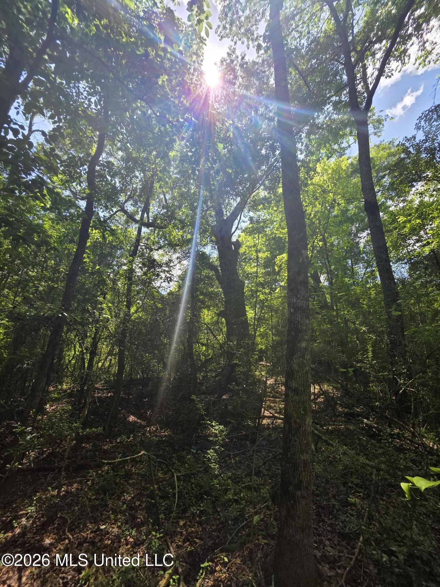 1004 Zone Road Magnolia, MS 39652 - Photo 17 of 22 30618