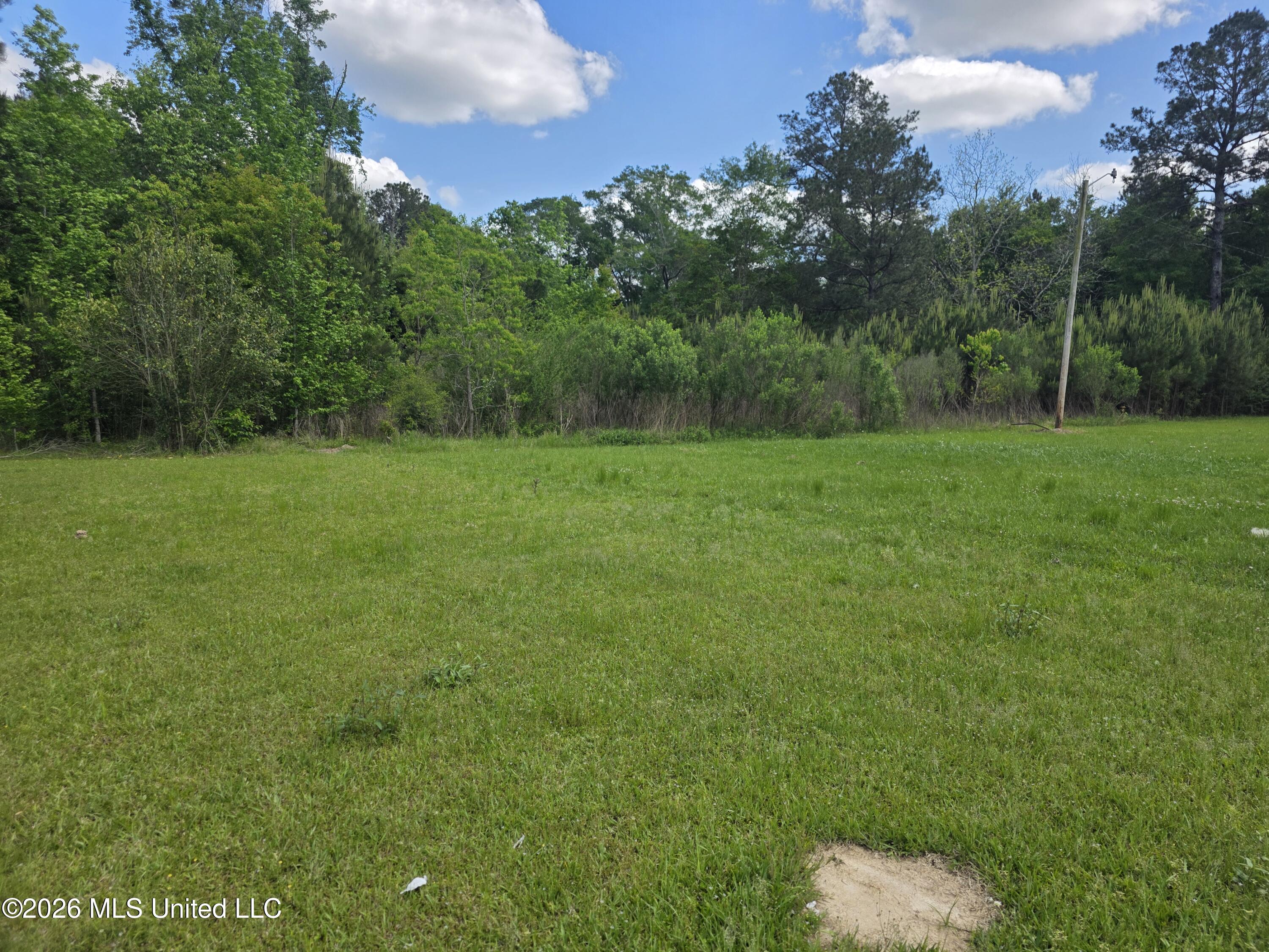 1004 Zone Road Magnolia, MS 39652 - Photo 18 of 22 30626