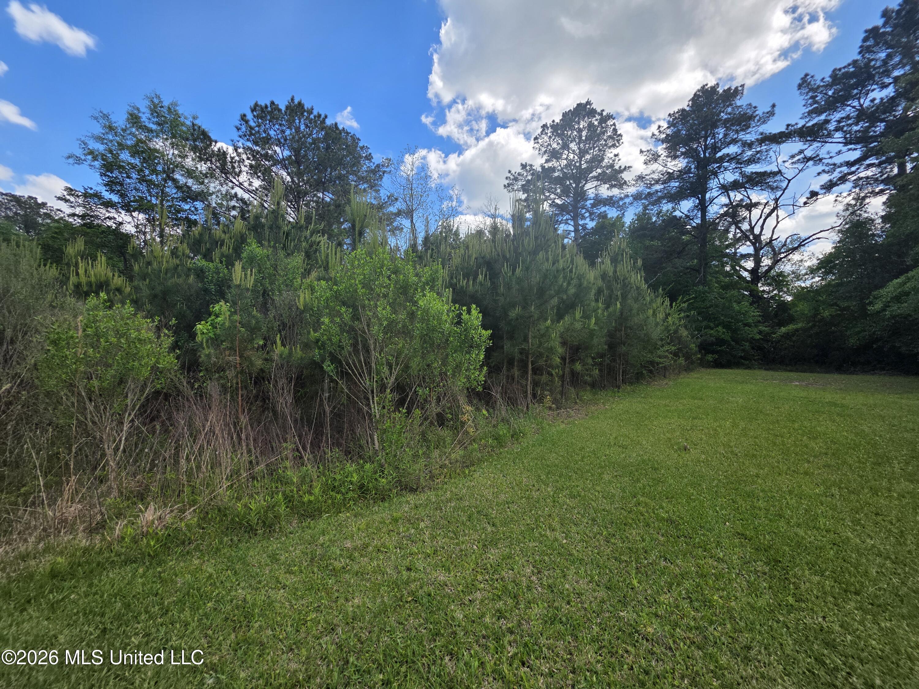 1004 Zone Road Magnolia, MS 39652 - Photo 20 of 22 30632