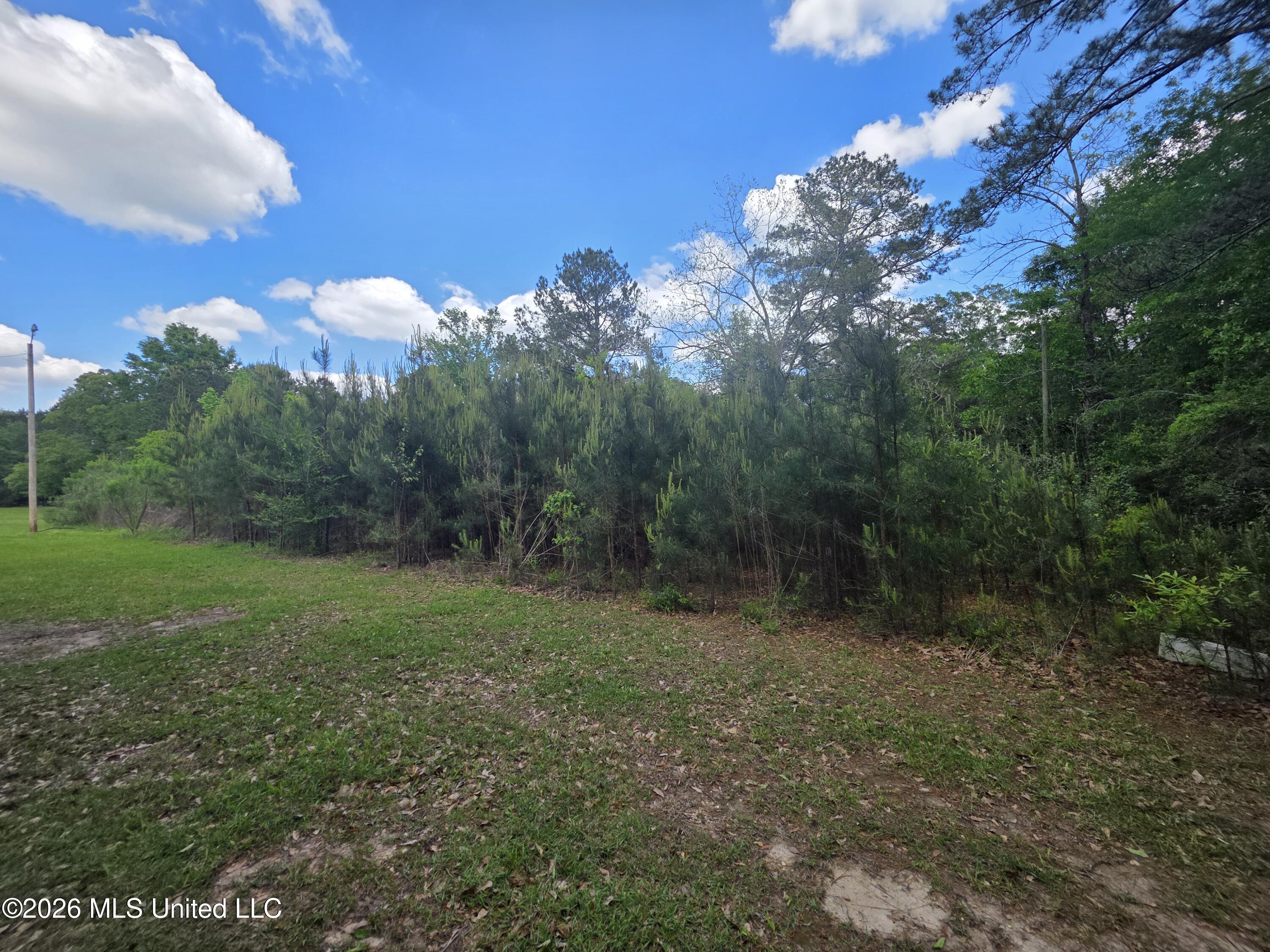 1004 Zone Road Magnolia, MS 39652 - Photo 21 of 22 30634