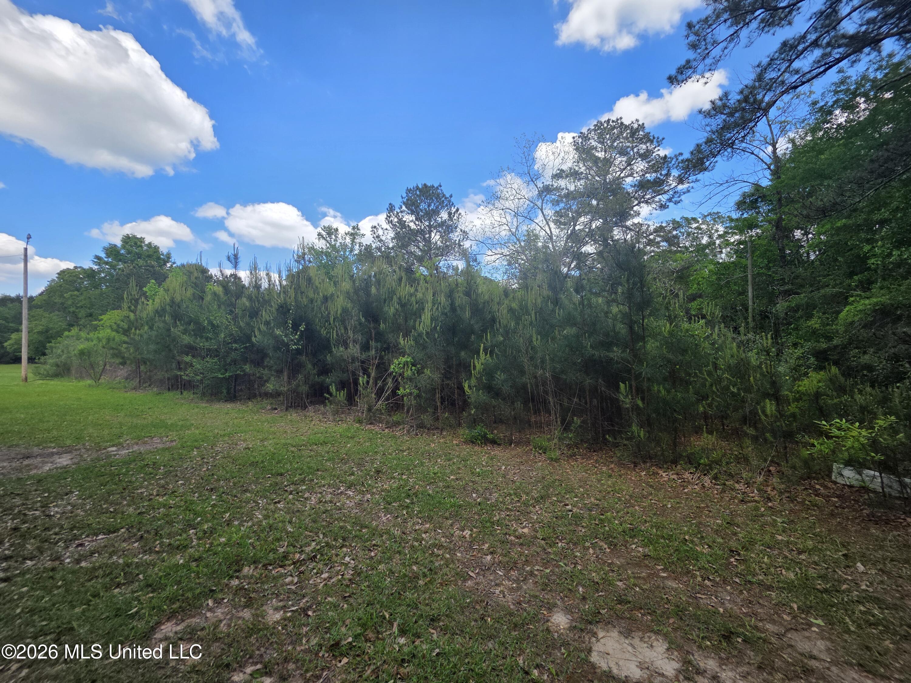 1004 Zone Road Magnolia, MS 39652 - Photo 22 of 22 30636