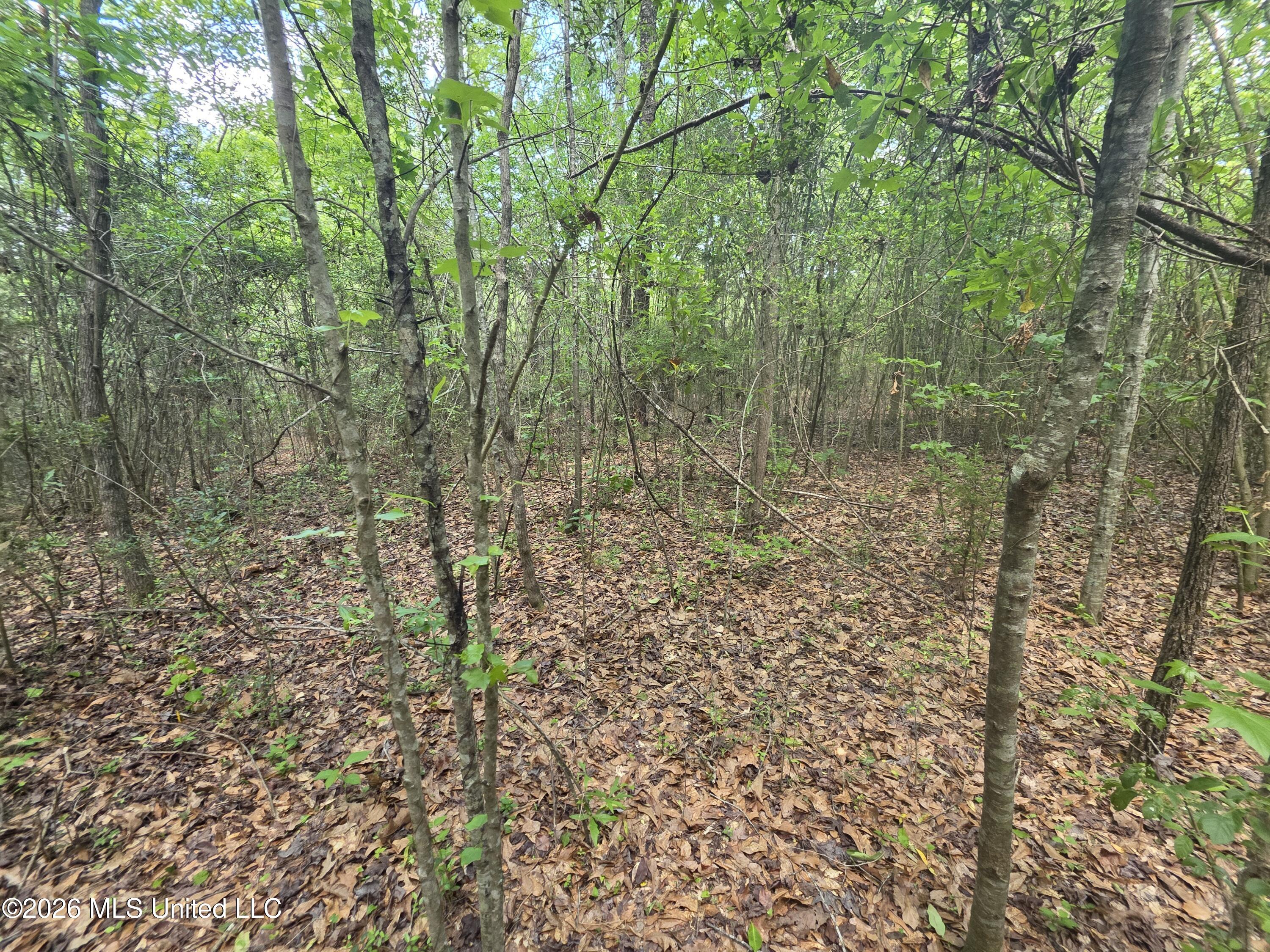 1004 Zone Road Magnolia, MS 39652 - Photo 5 of 22 30587