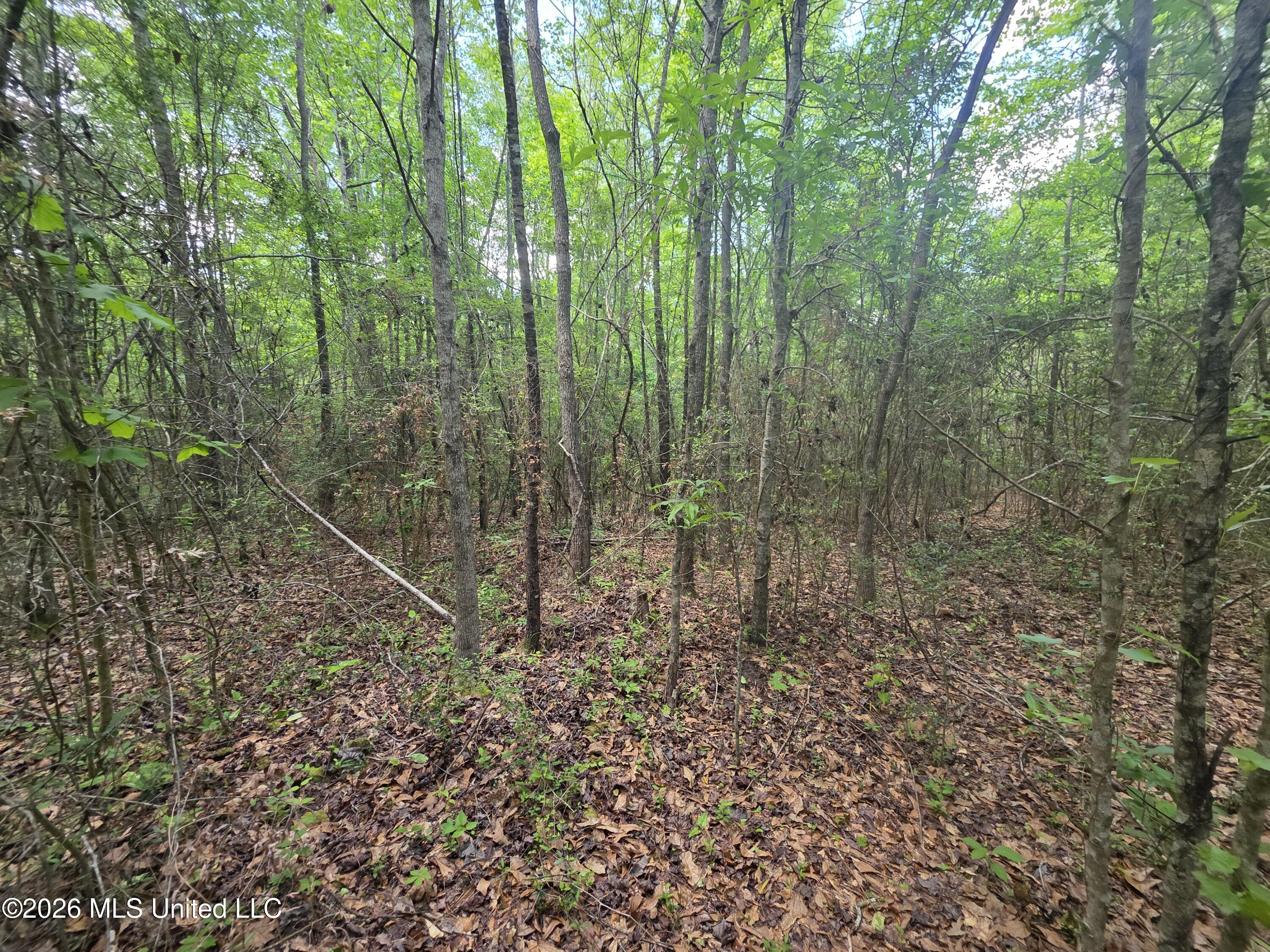 1004 Zone Road Magnolia, MS 39652 - Photo 6 of 22 30589