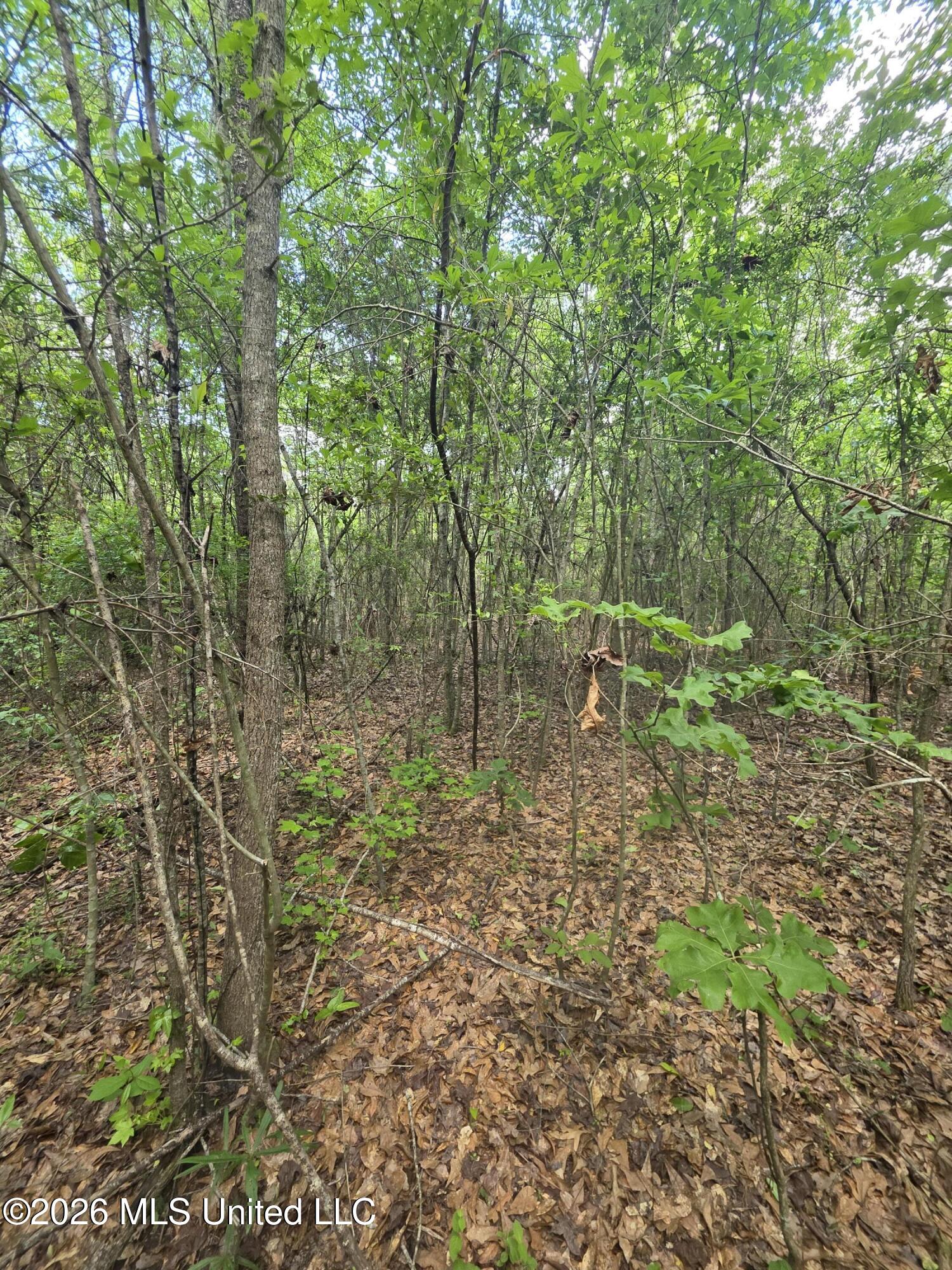 1004 Zone Road Magnolia, MS 39652 - Photo 7 of 22 30590