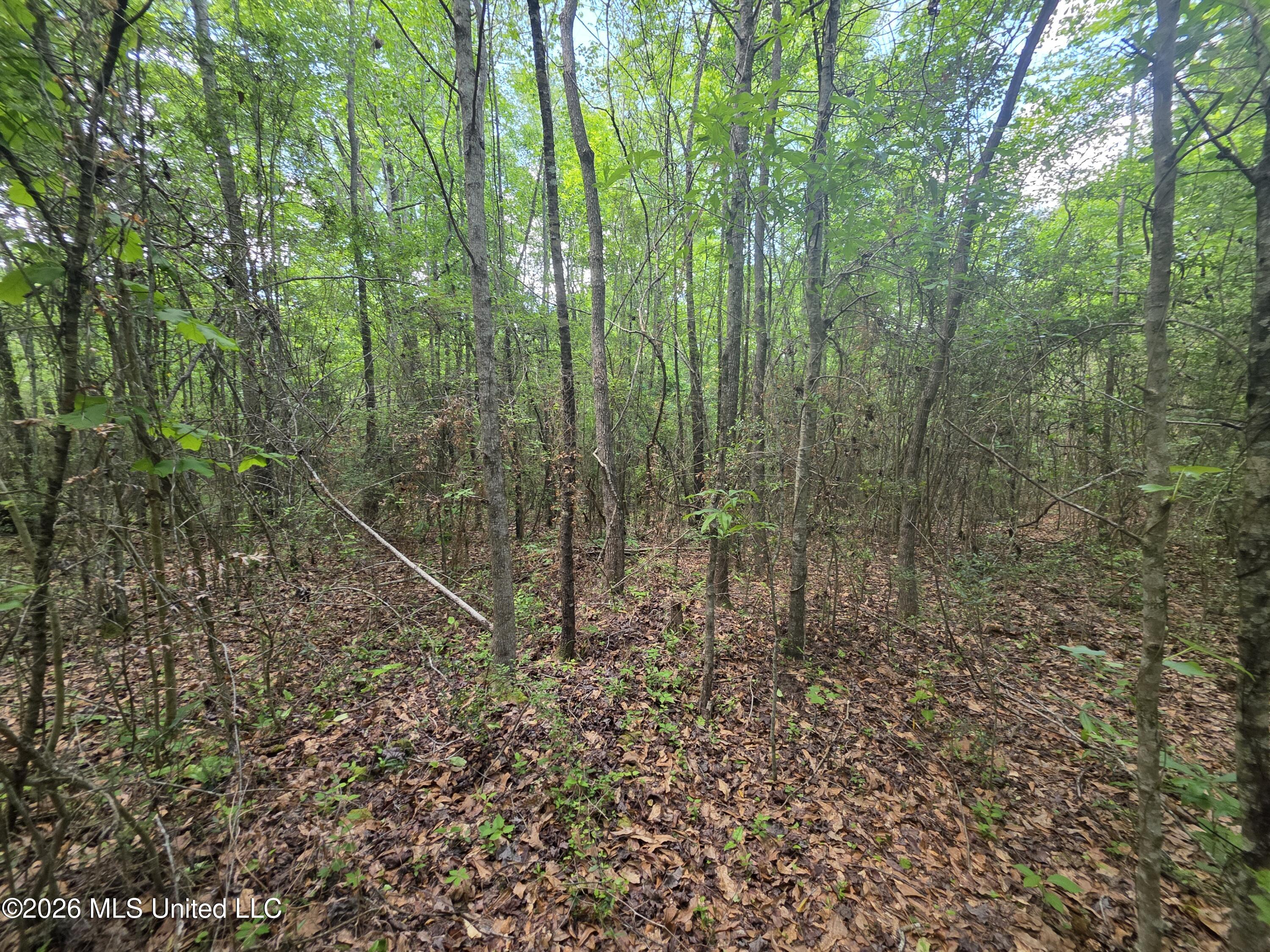 1004 Zone Road Magnolia, MS 39652 - Photo 8 of 22 30588