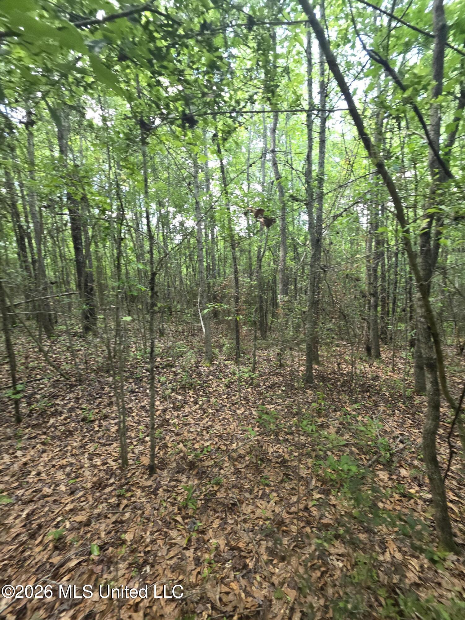 1004 Zone Road Magnolia, MS 39652 - Photo 9 of 22 30593