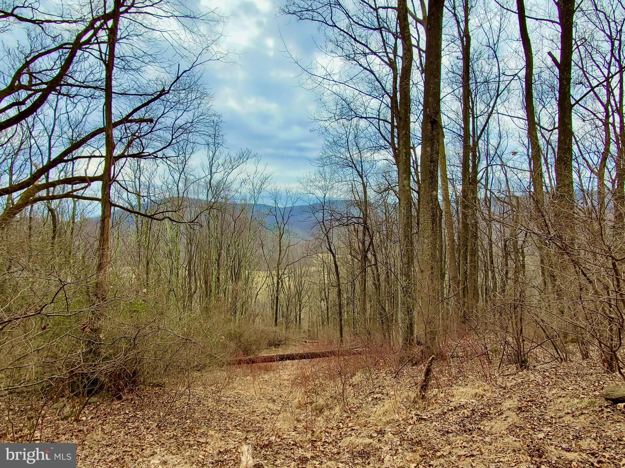 Stunning views from the property