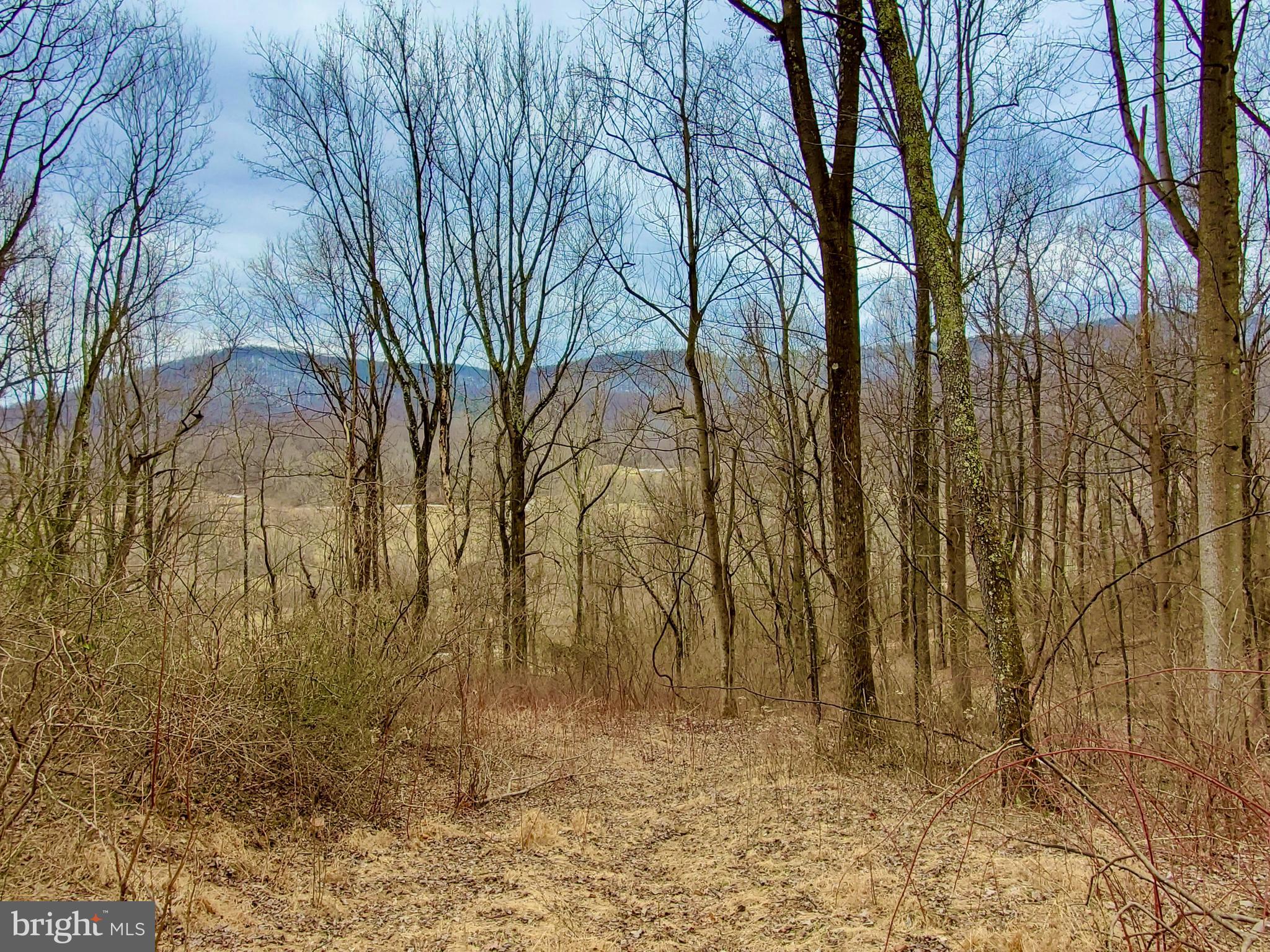 Harris Hollow Road Washington, VA 22747 - Photo 2 of 15