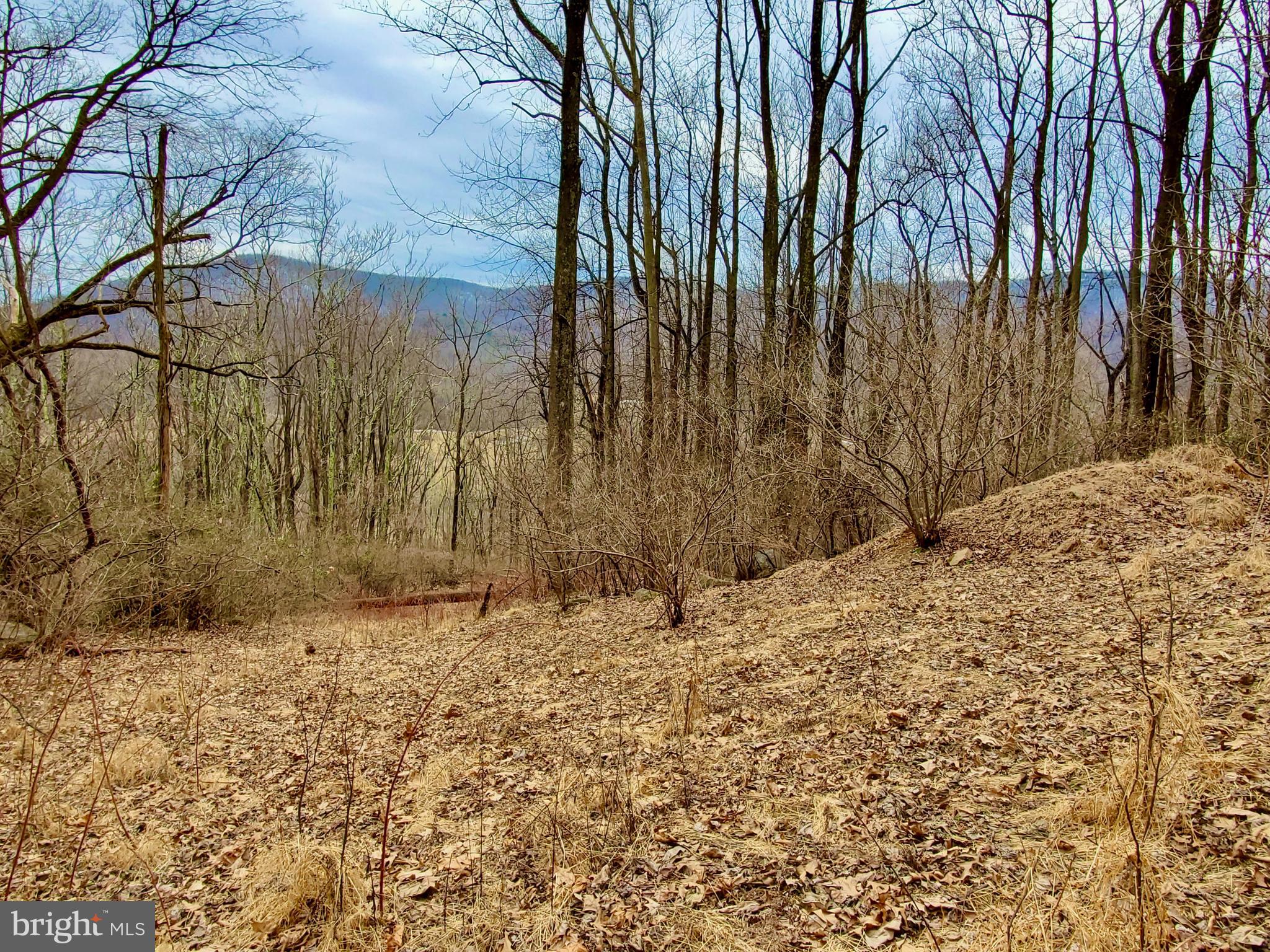 Harris Hollow Road Washington, VA 22747 - Photo 11 of 15