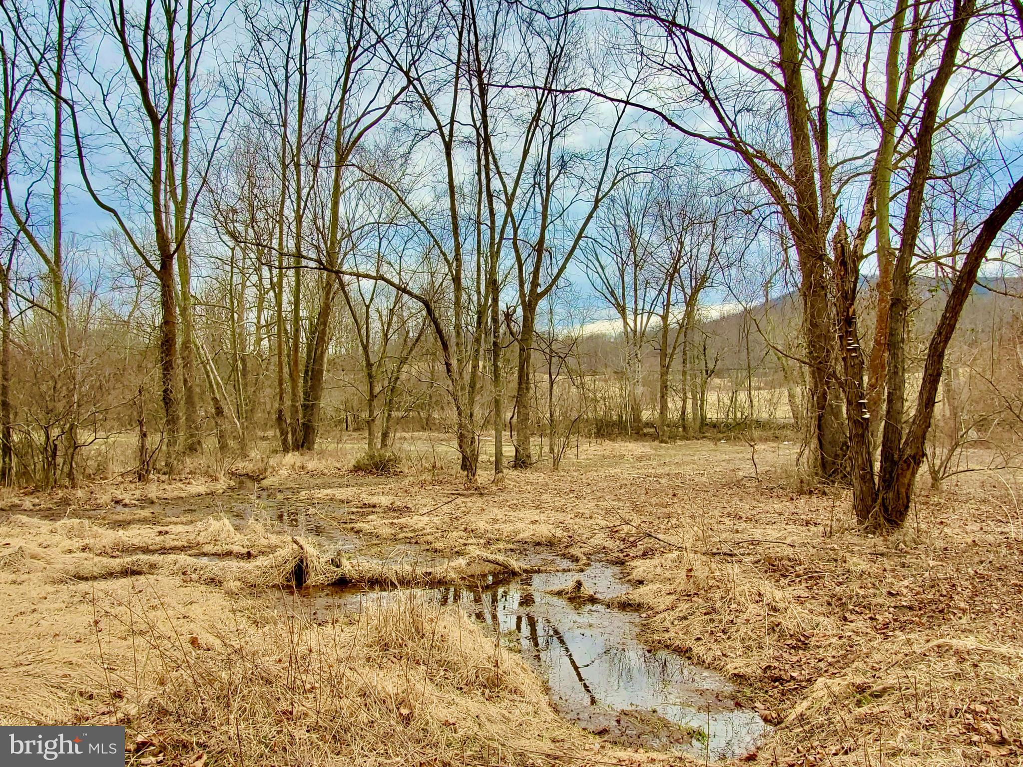 Harris Hollow Road Washington, VA 22747 - Photo 12 of 15