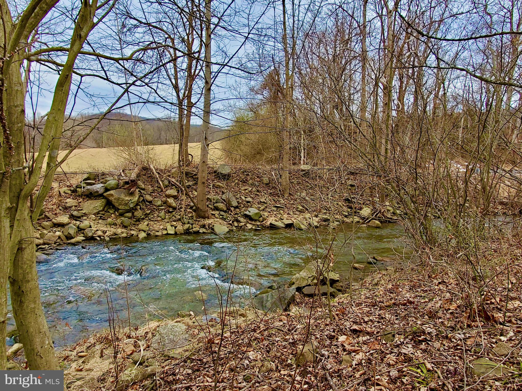 Harris Hollow Road Washington, VA 22747 - Photo 3 of 15 The Rush River is at the base of the land