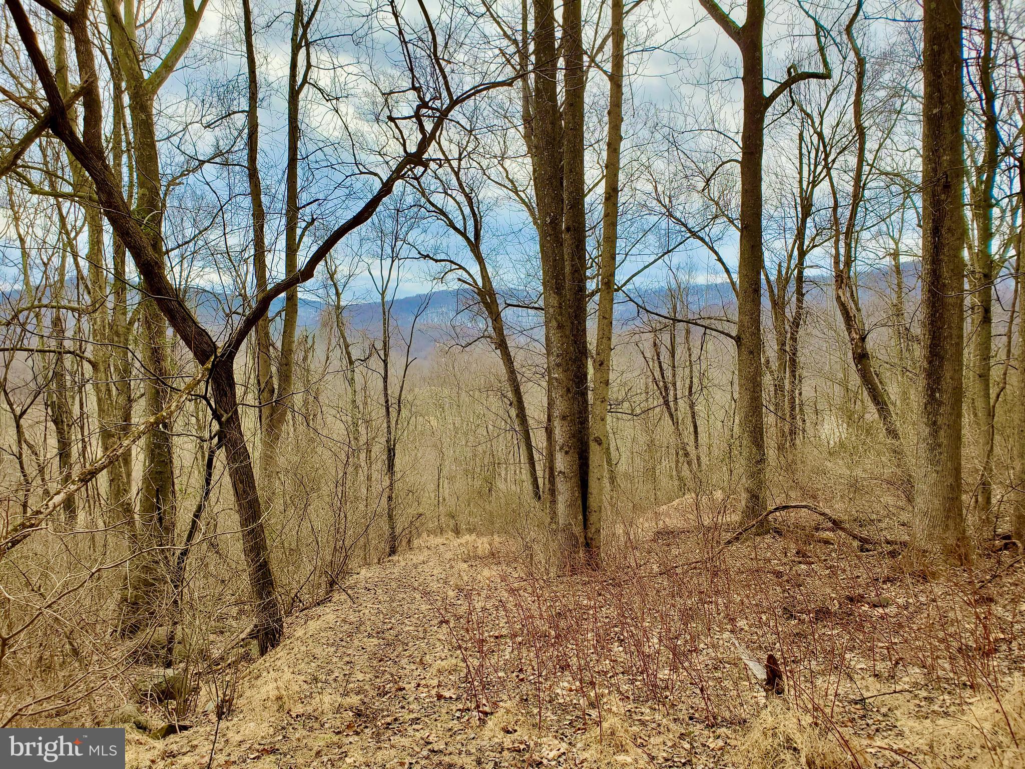 Harris Hollow Road Washington, VA 22747 - Photo 4 of 15