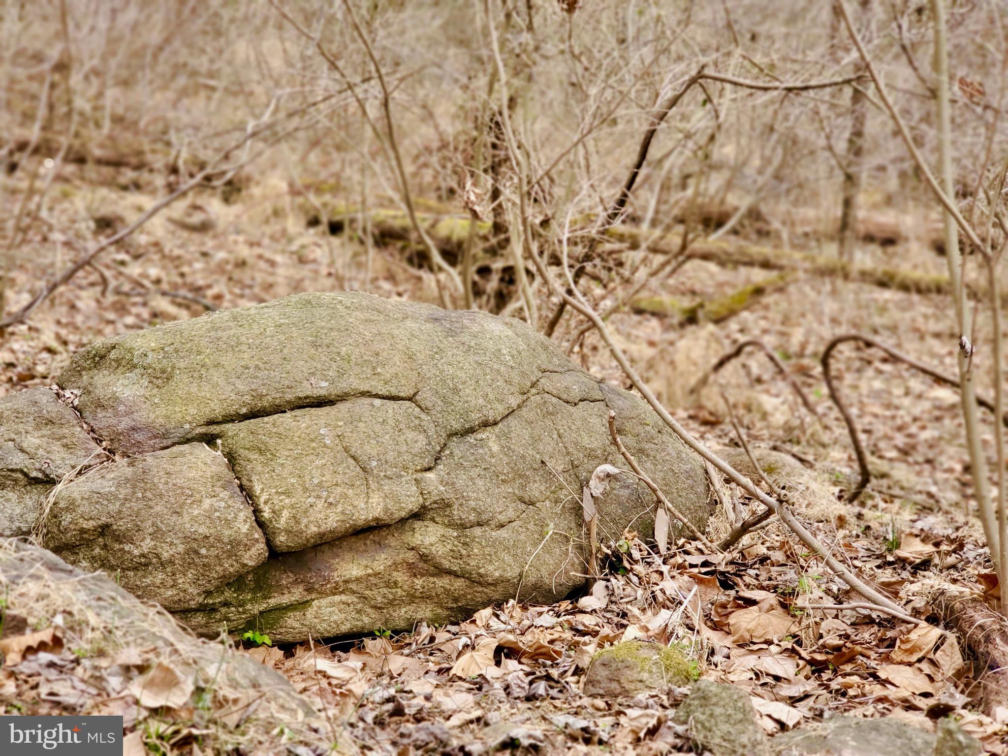 Harris Hollow Road Washington, VA 22747 - Photo 5 of 15