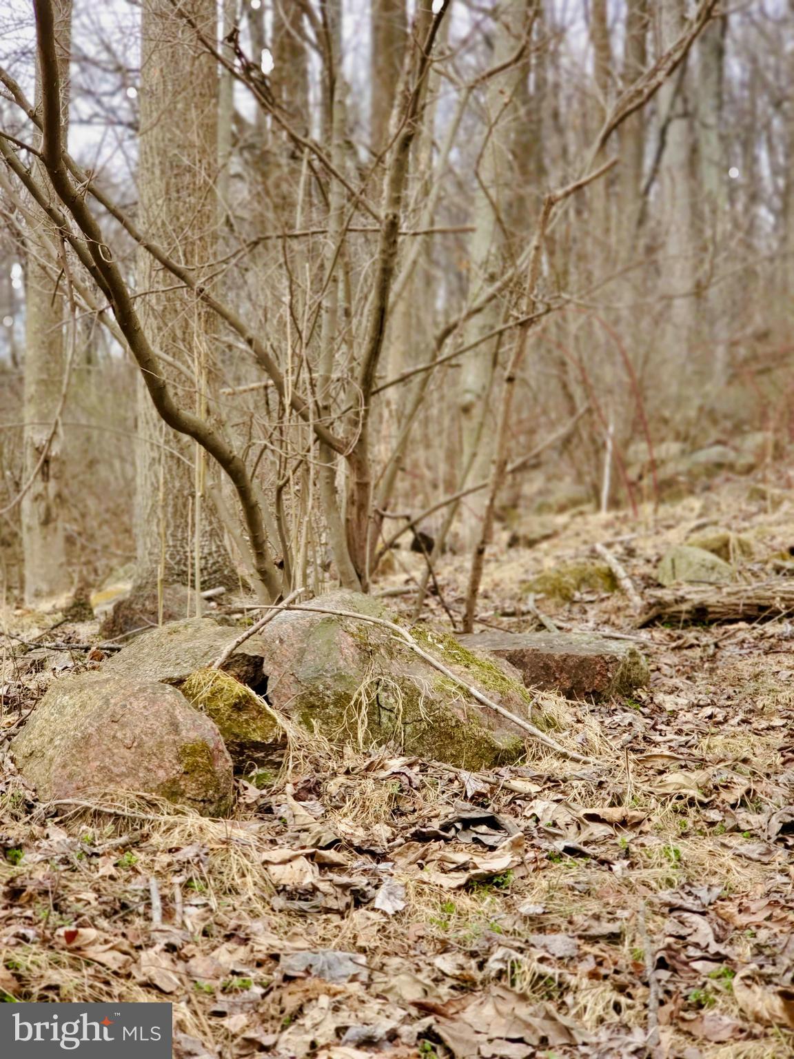 Harris Hollow Road Washington, VA 22747 - Photo 8 of 15