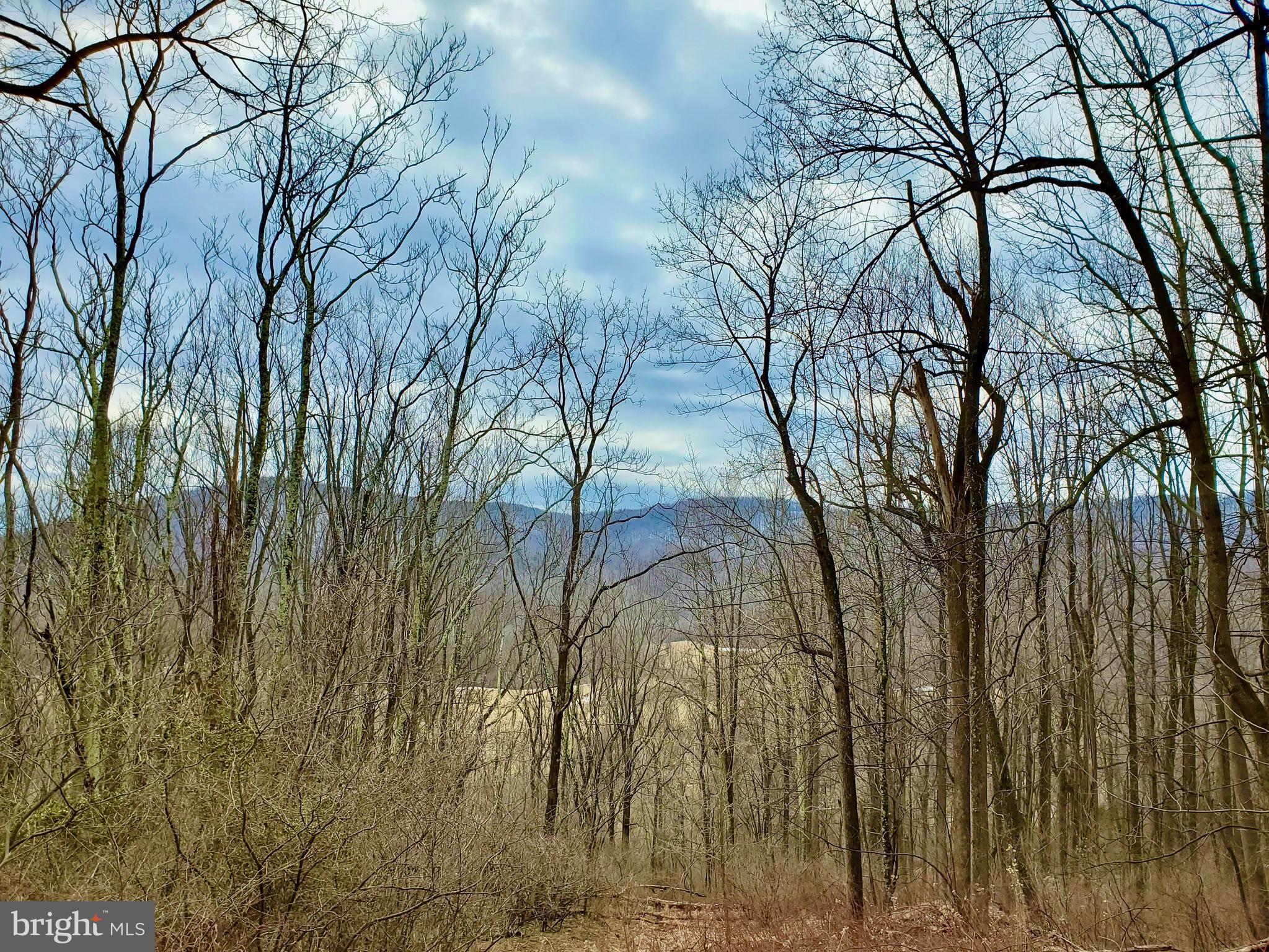 Harris Hollow Road Washington, VA 22747 - Photo 9 of 15