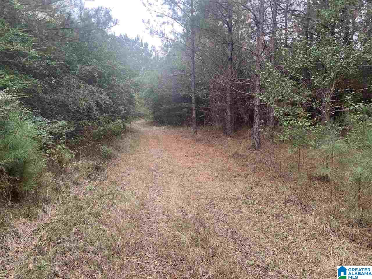 0 Homestead Drive, Unit 1 Springville, AL 35146 - Photo 5 of 32