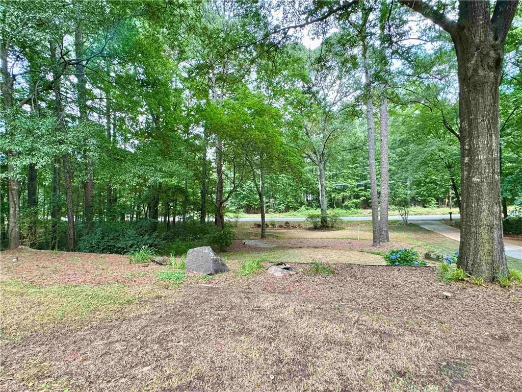 90 Howard Road Senoia, GA 30276 - Photo 7 of 73