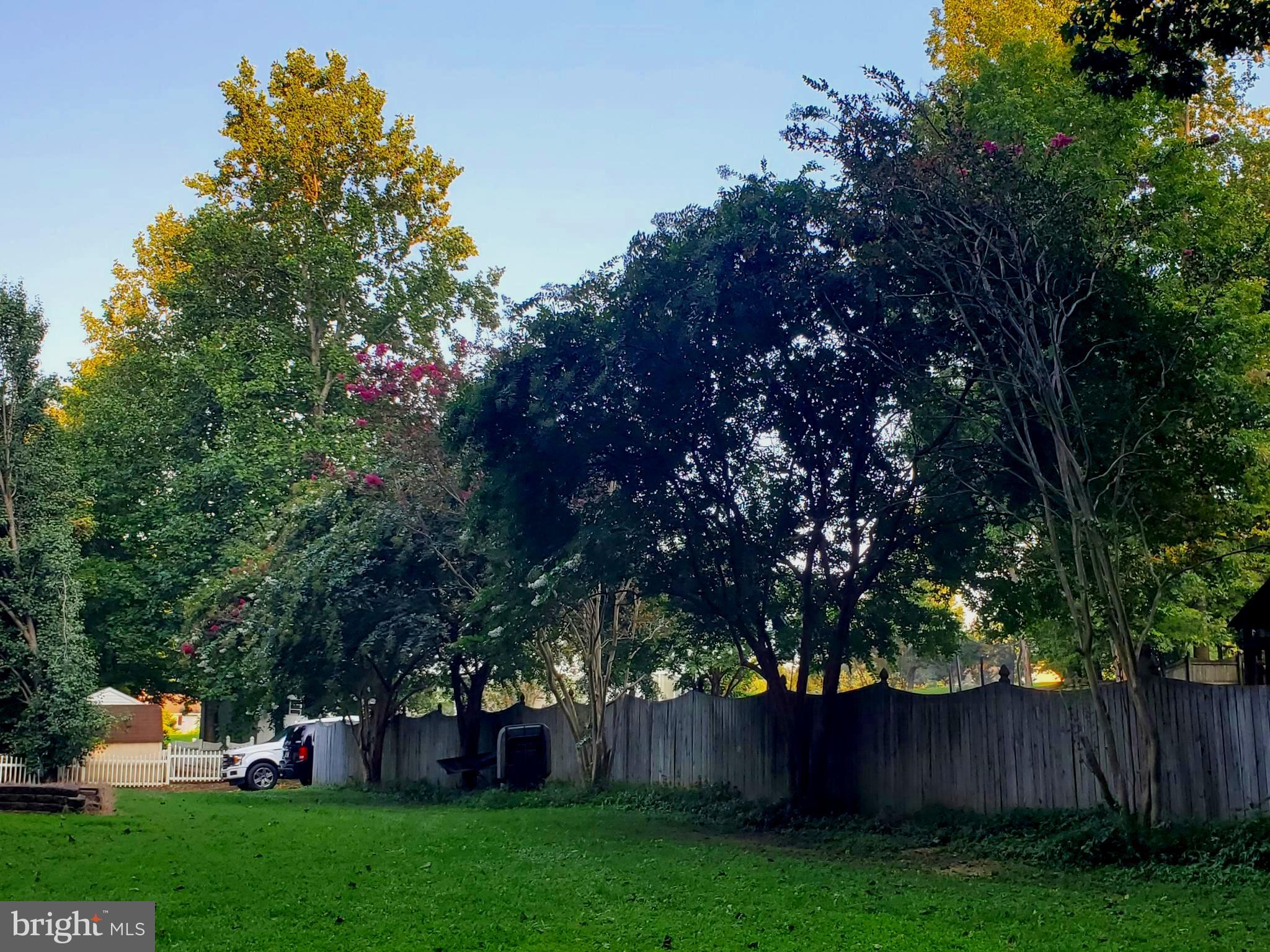 1837 Lottie Fowler Road Prince Frederick, MD 20678 - Photo 39 of 43 Gorgeous Crepe Myrtles Line the Side Yard Fence