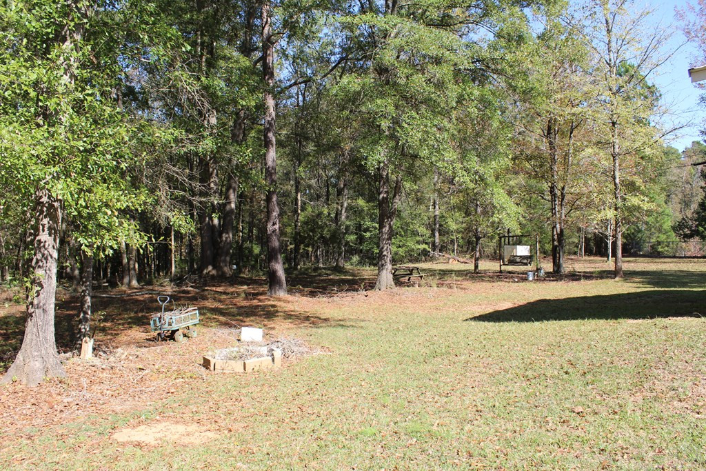 1466 Freeman Harriss Road Harlem, GA 30814 - Photo 30 of 39