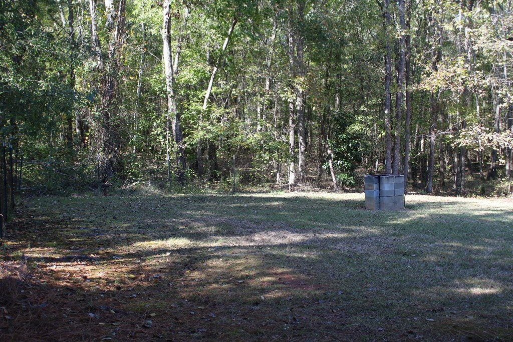 1466 Freeman Harriss Road Harlem, GA 30814 - Photo 36 of 39