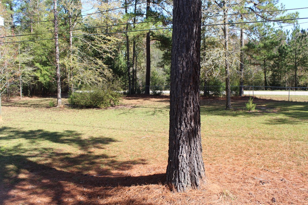 1466 Freeman Harriss Road Harlem, GA 30814 - Photo 5 of 39