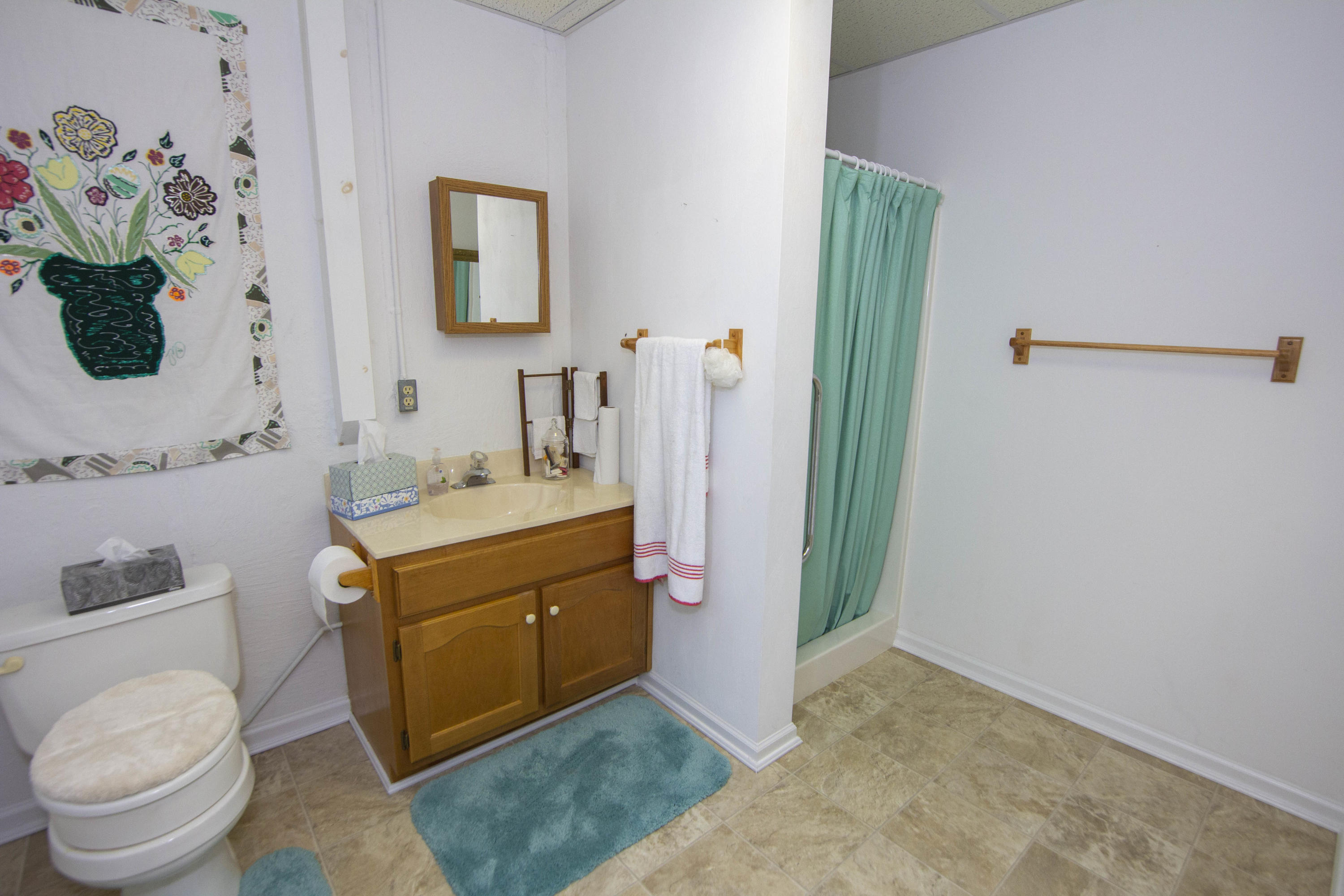 575 Tall Tree Road Wirtz, VA 24184 - Photo 50 of 64 Full Bathroom #3