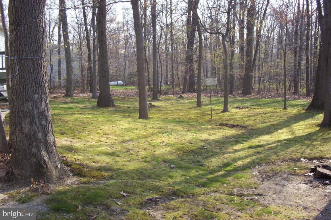 701 Narvon Road Narvon, PA 17555 - Photo 2 of 4 Gallery Image 2