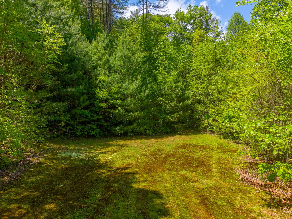 1364 Atoah Road Robbinsville, NC 28771 - Photo 51 of 71
