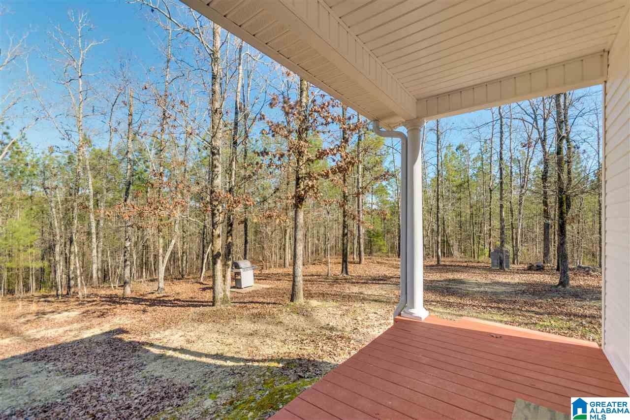 8300 Highway 145 Clanton, AL 35046 - Photo 42 of 46