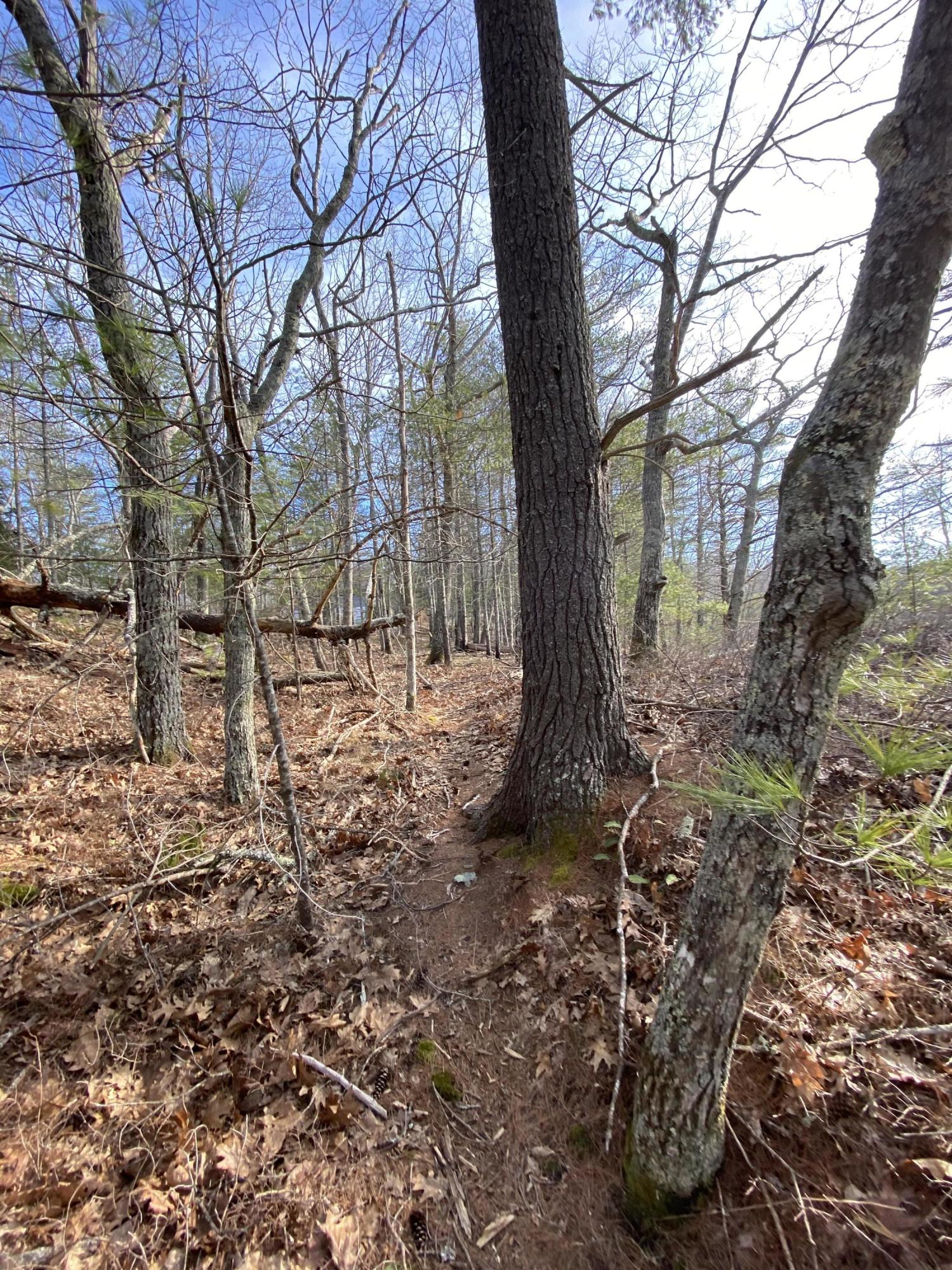 639 Arrowsic Road Bath, ME 04530 - Photo 67 of 67 IMG_4267