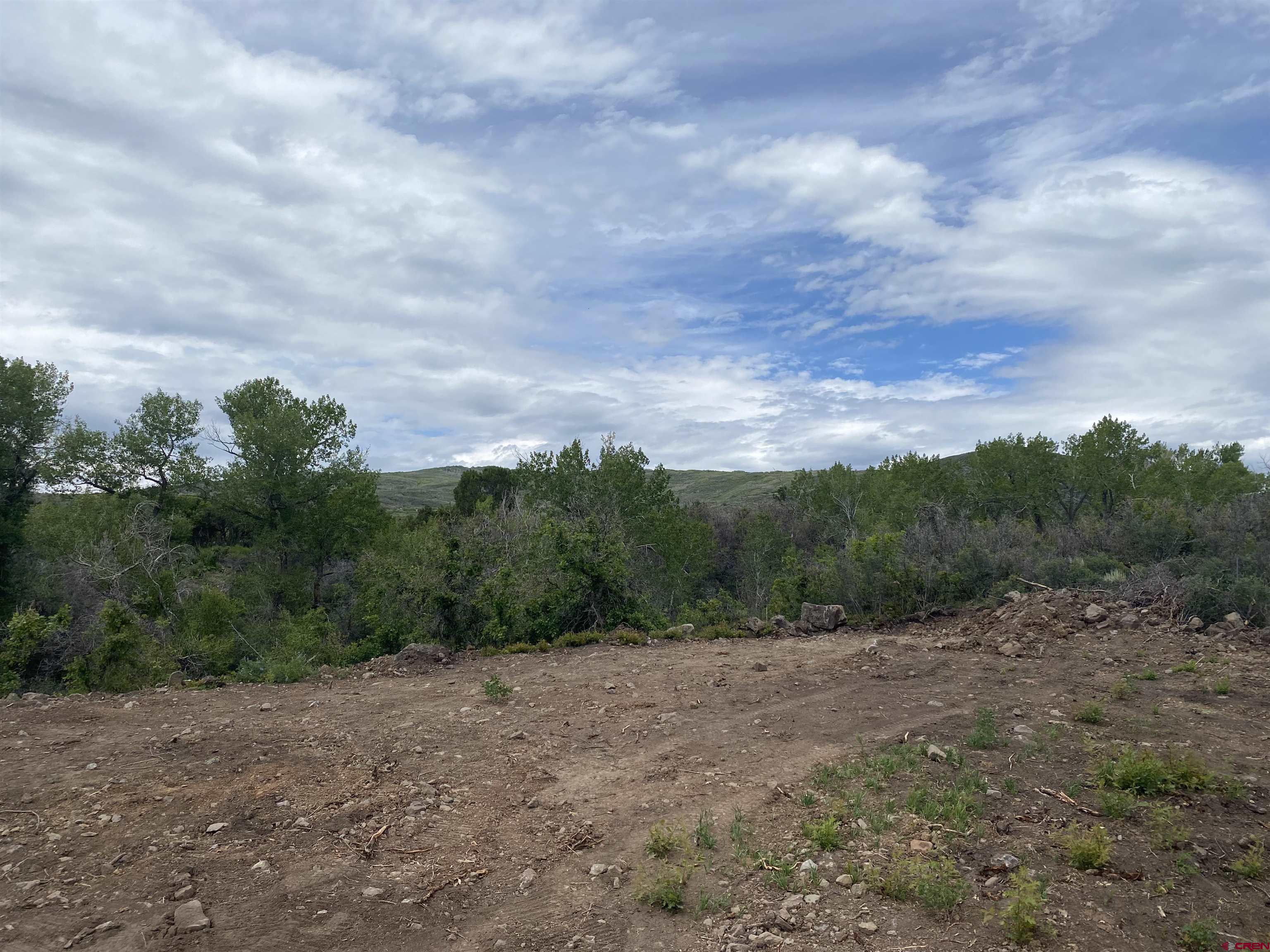 2115 2500th Drive Cedaredge, CO 81413 - Photo 13 of 18