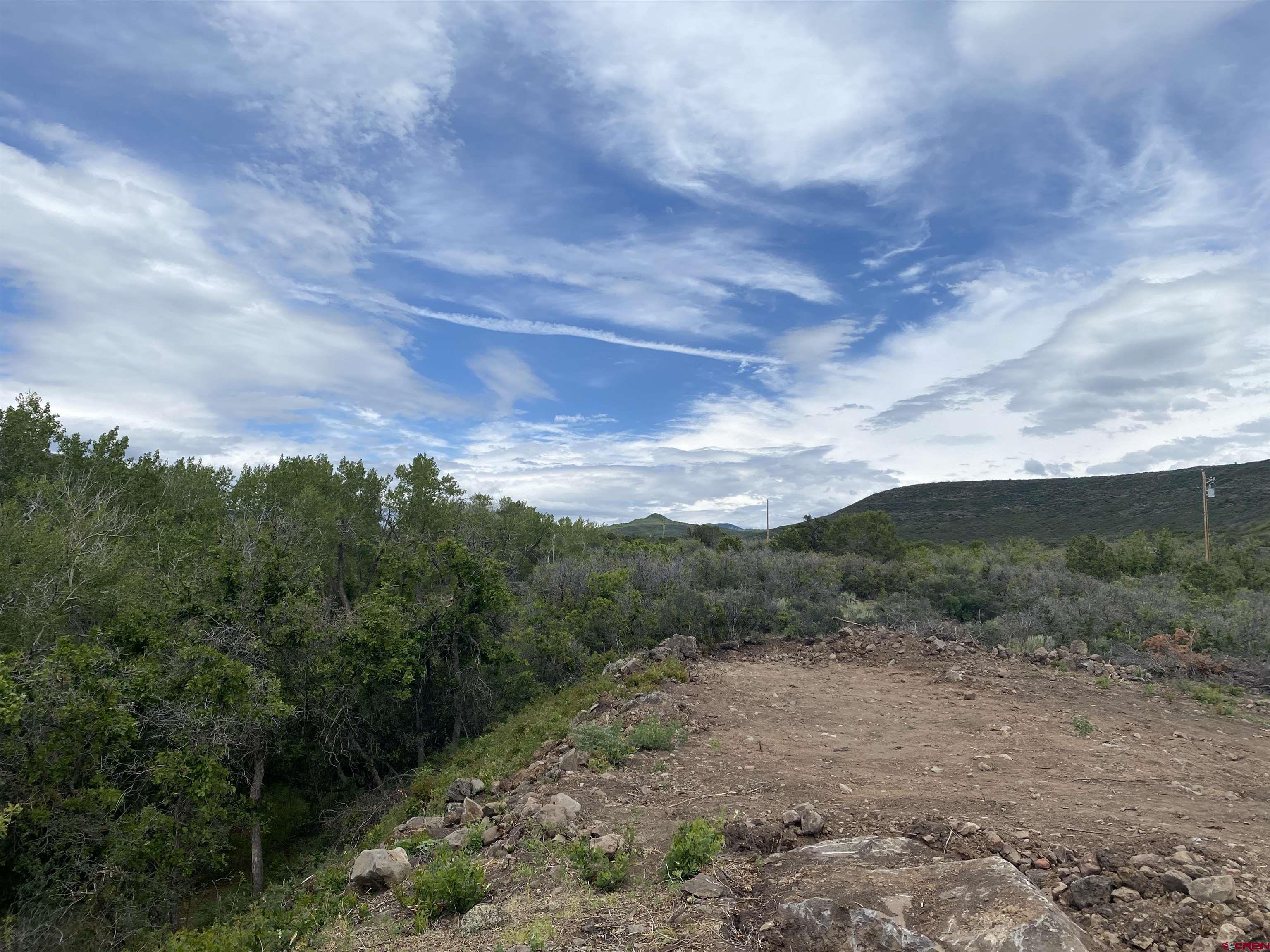 2115 2500th Drive Cedaredge, CO 81413 - Photo 5 of 18