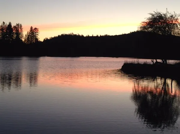 a view of outdoor space yard and city