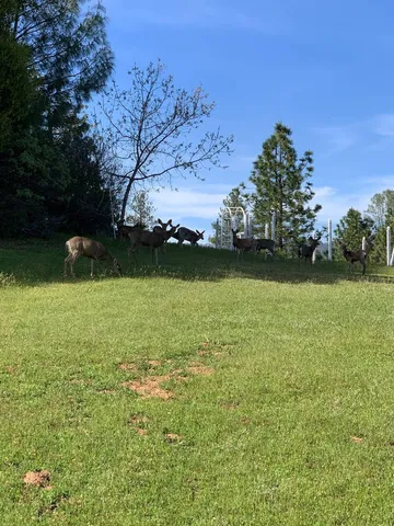 a view of wooden floor