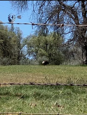 $499,000 | 14781 Lakeside Drive, Sonora, CA 95370