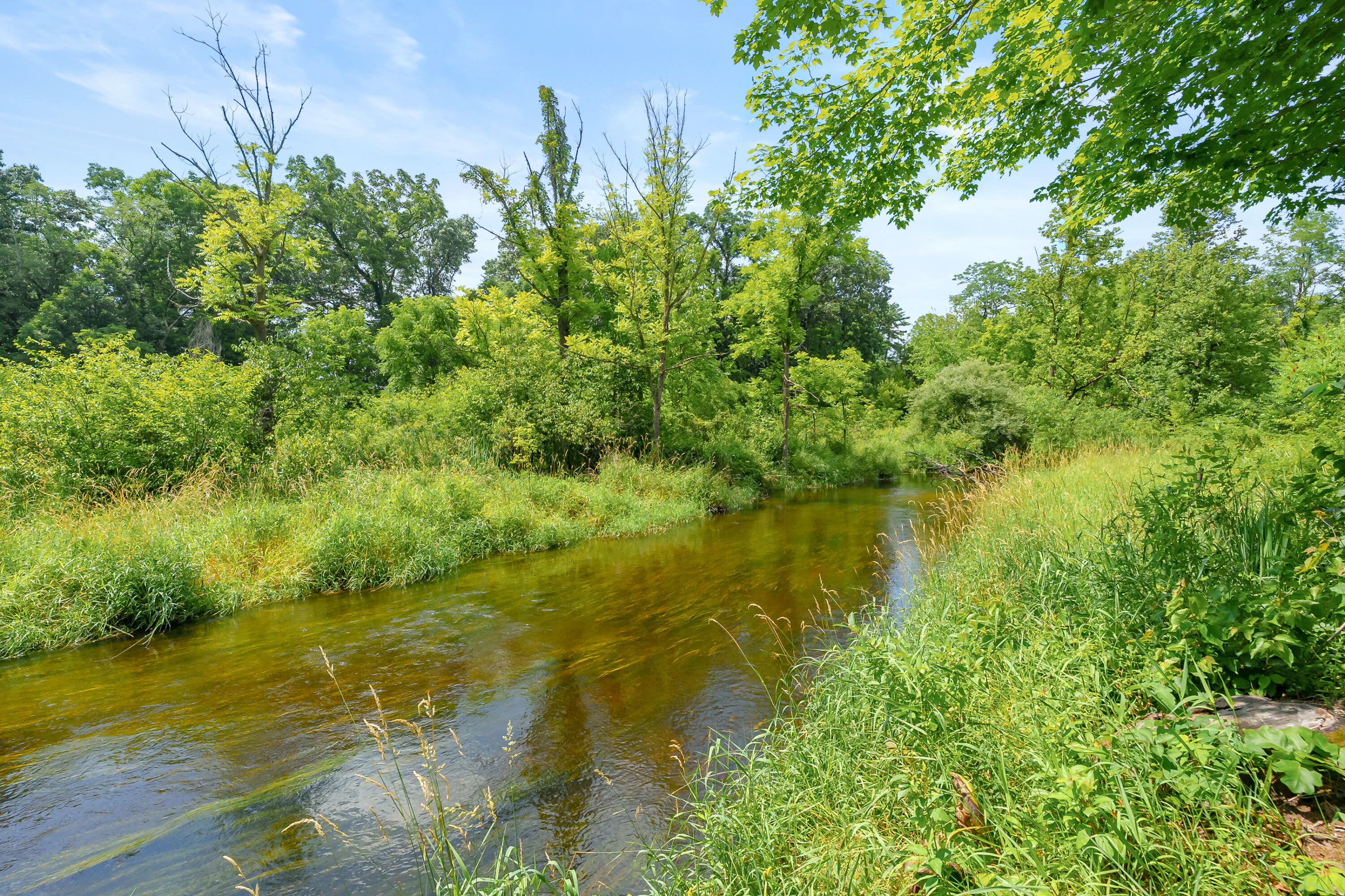 0 South Street Three Rivers, MI 49093 - Photo 10 of 10 M2 - South St VL Three Rivers 49093-9