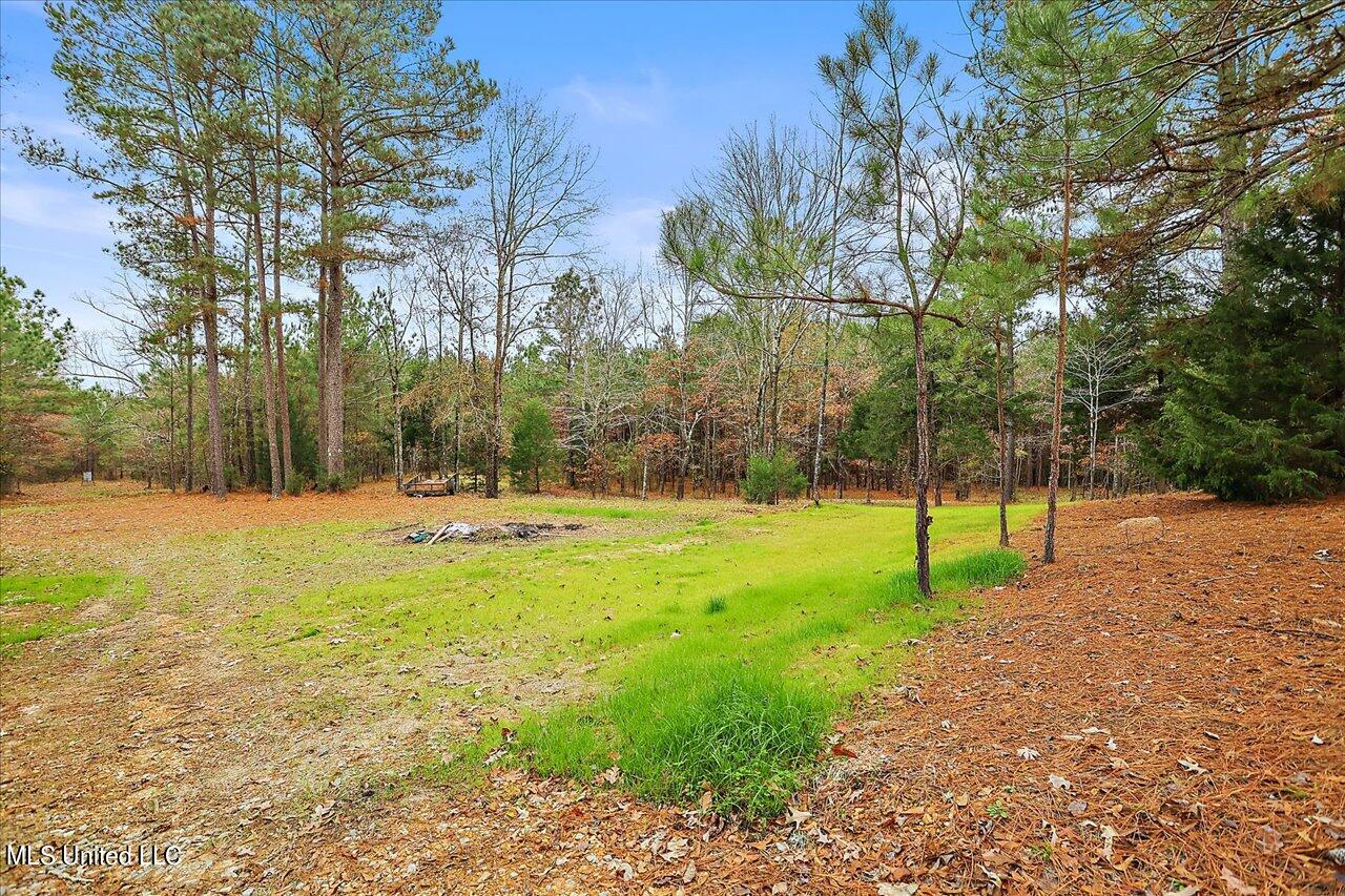 5929 Tank Road Terry, MS 39170 - Photo 60 of 61 62-359A7745