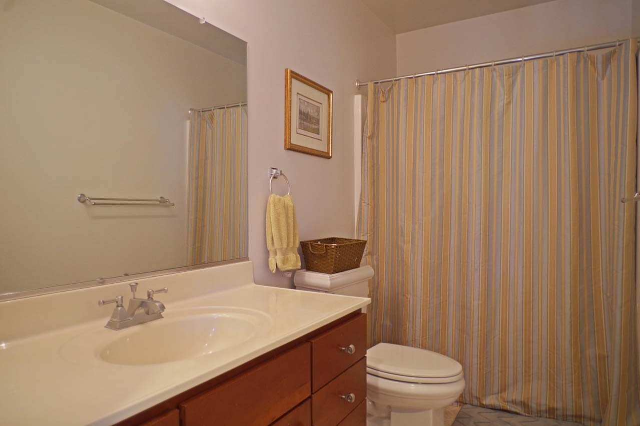 2009 Shepherds Ridge Road Charlottesville, VA 22901 - Photo 33 of 41 a bathroom with a sink toilet and a mirror